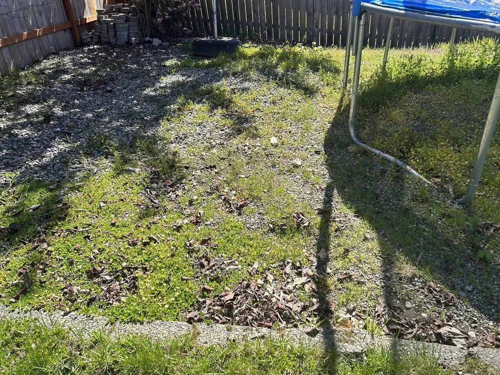 Custom outdoor landscaping in Puyallup, WA by Touch of Spring