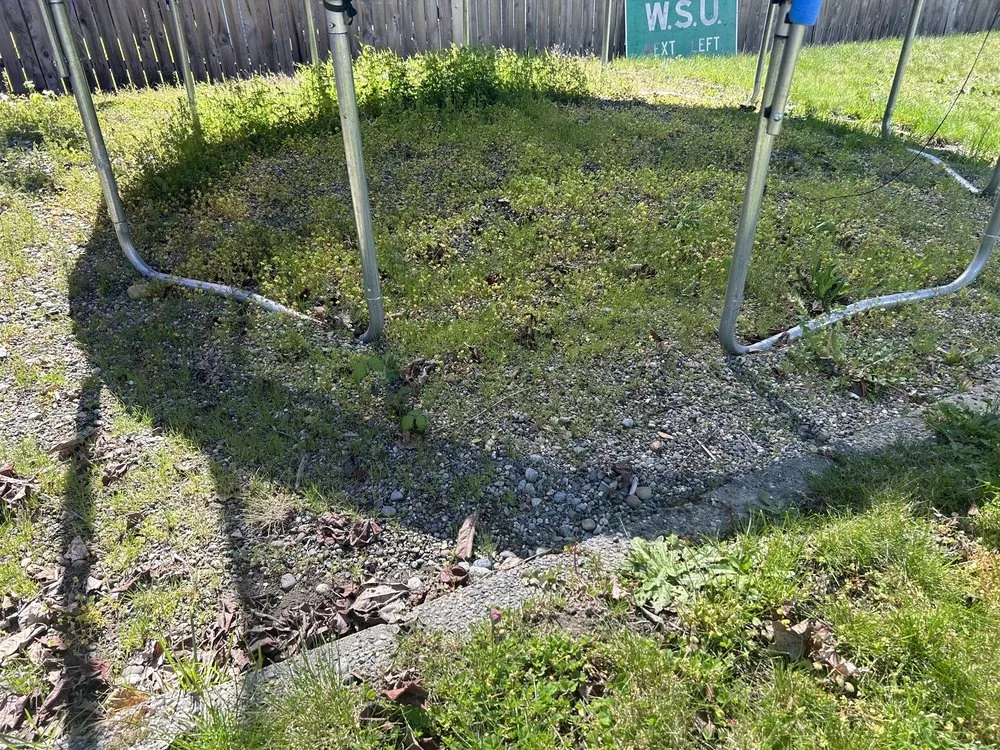 Reliable landscape installation for beautiful yards in Puyallup, WA by Touch of Spring