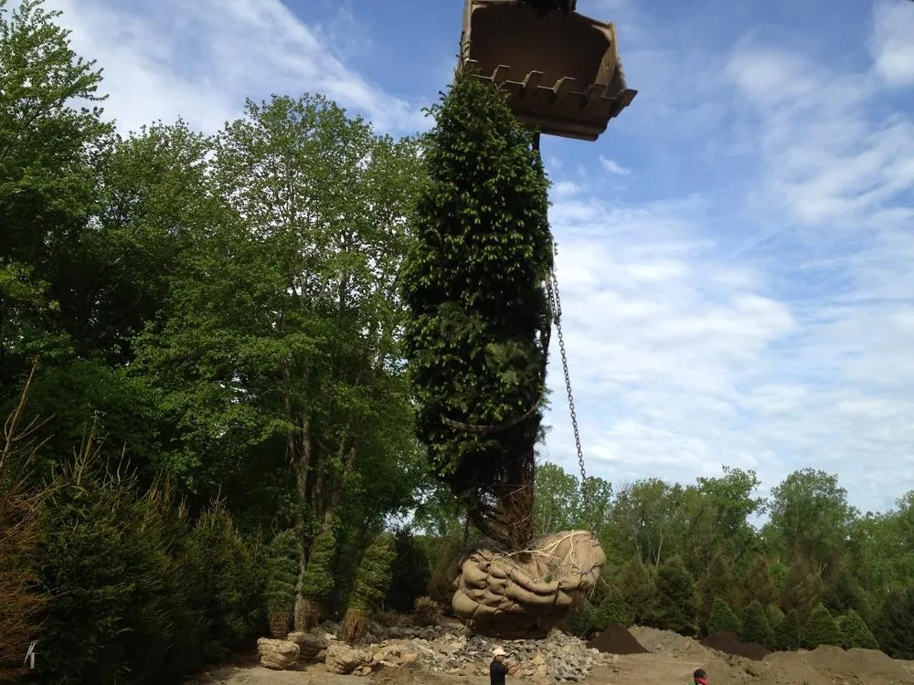 Trusted residential landscaping experts serving Harrison, NY - Touchstone Landscape Group