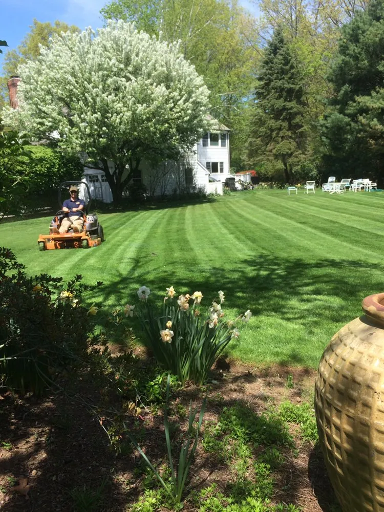 Reliable yard maintenance experts serving Harrison, NY - Touchstone Landscape Group