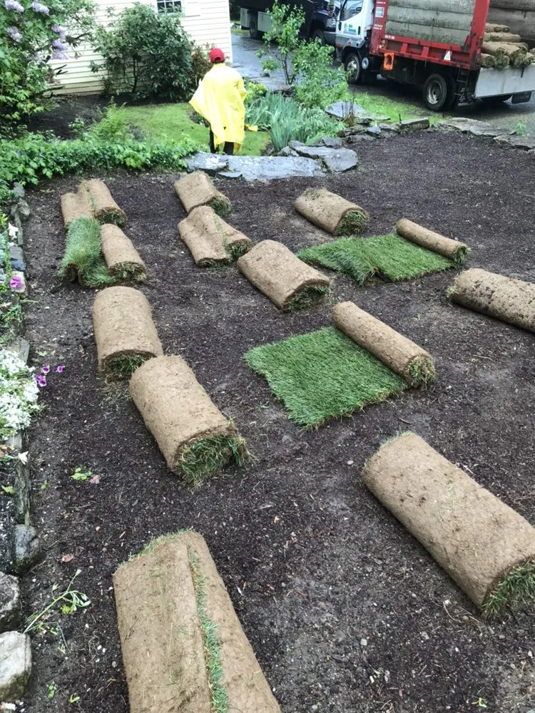 Top-rated yard cleanup service for residential properties across Harrison, NY - Touchstone Landscape Group