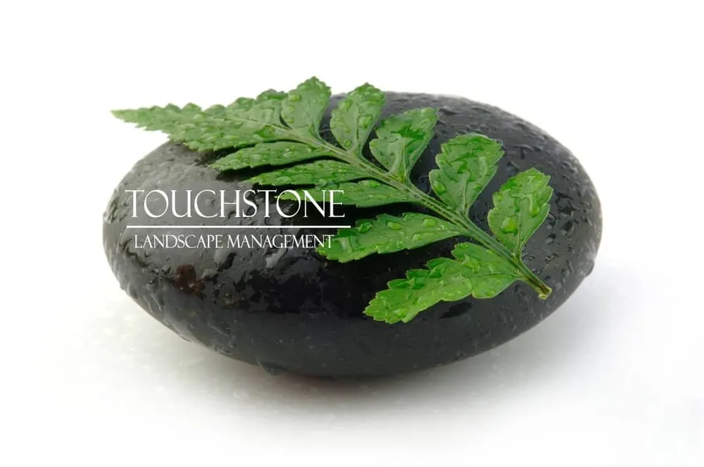 Local lawn care service near you across Gig Harbor, WA - Touchstone Landscape Management