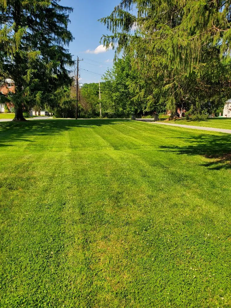 Top-rated yard cleanup service for homes across Hamburg, NJ - Touchstone Landscaping