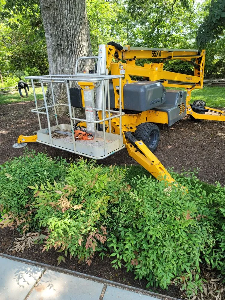 Trusted yard cleanup service experts serving Heathsville, VA - Tough Cuts Tree and Scapes