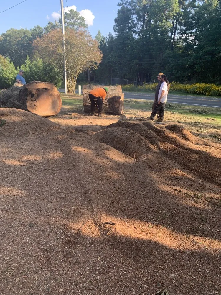 Affordable yard cleanup service in Heathsville, VA by Tough Cuts Tree and Scapes