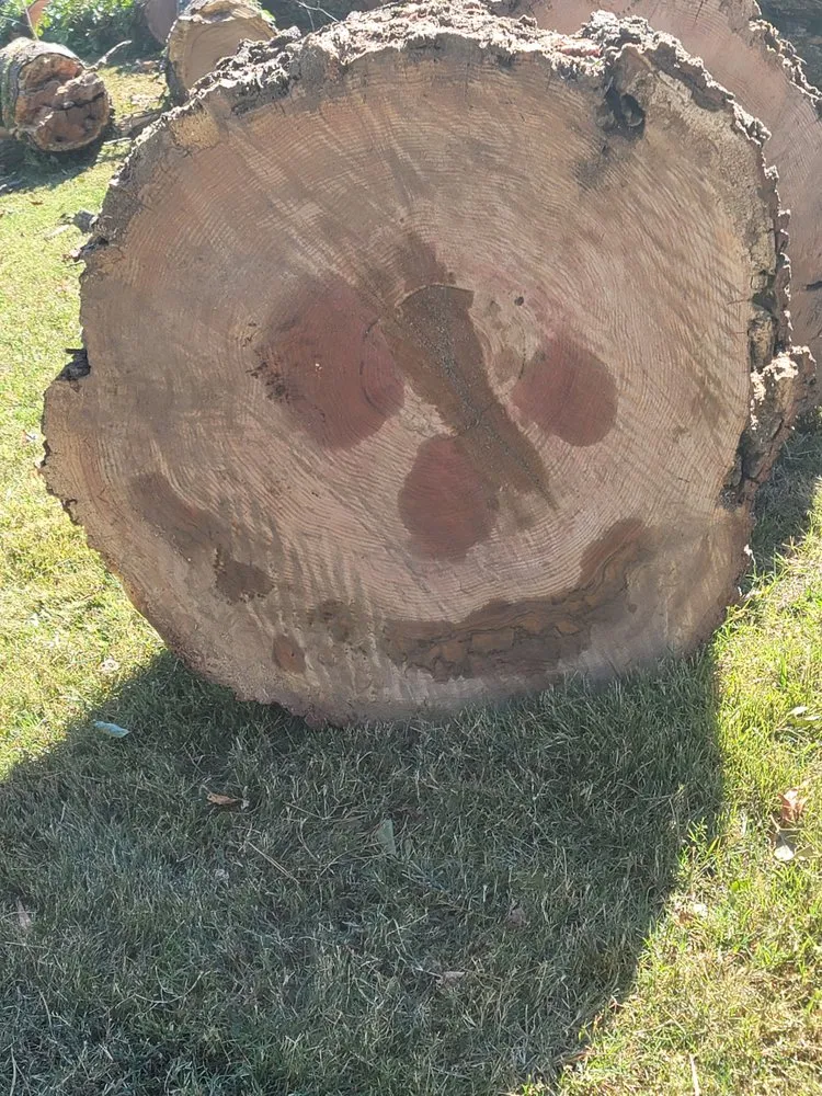 Professional garden landscaping for homes in Heathsville, VA by Tough Cuts Tree and Scapes