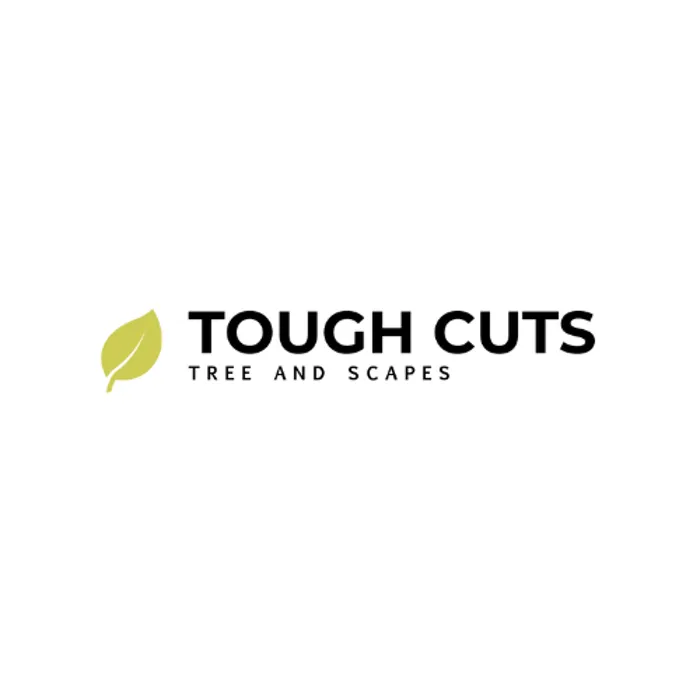 Reliable yard maintenance for beautiful yards across Heathsville, VA - Tough Cuts Tree and Scapes