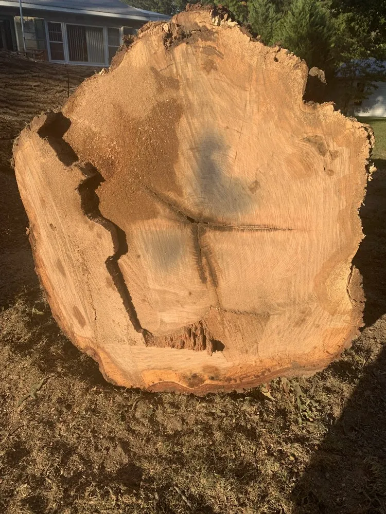 Affordable garden landscaping near you across Heathsville, VA - Tough Cuts Tree and Scapes