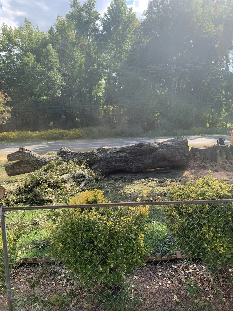 Professional landscape installation for outdoor upgrades in Heathsville, VA by Tough Cuts Tree and Scapes