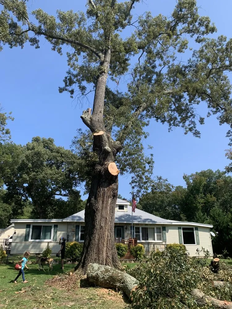 Reliable yard cleanup service experts serving Heathsville, VA - Tough Cuts Tree and Scapes