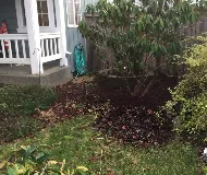 Reliable garden landscaping experts serving Rochester, WA - Tough Dirt