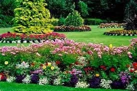 Custom landscape installation experts serving Rochester, WA - Tough Dirt