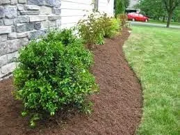 Local landscaping services experts serving Rochester, WA - Tough Dirt