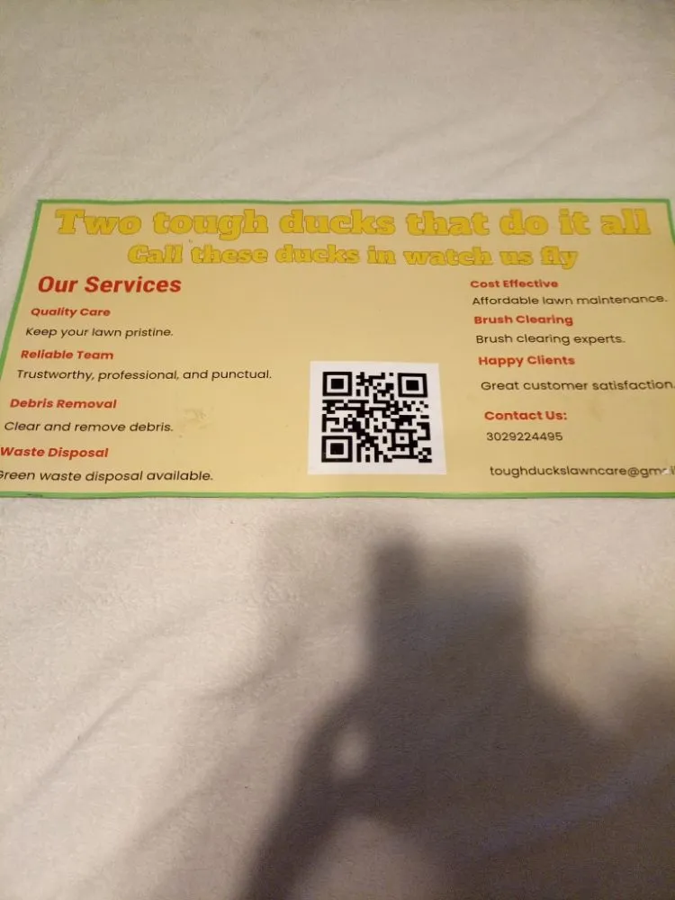 Affordable landscaping services for homes across Felton, DE - Tough Ducks