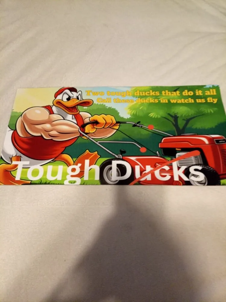 Local yard cleanup service for residential properties in Felton, DE by Tough Ducks