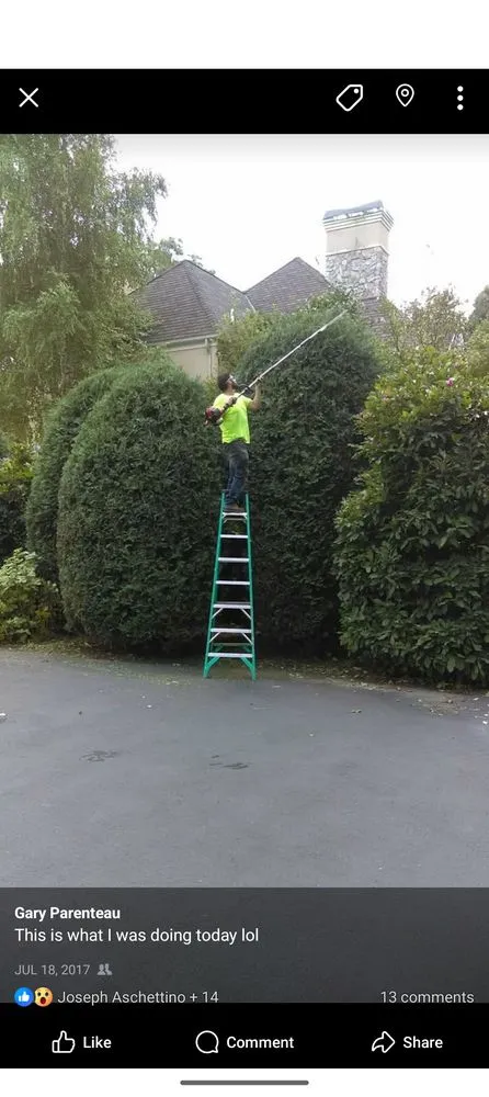 Affordable residential landscaping in Coventry, RI - Tough Greens Lawn Care