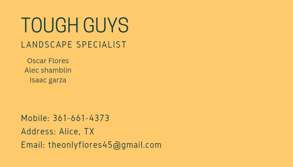 Affordable landscape installation in Alice, TX - Tough Guy