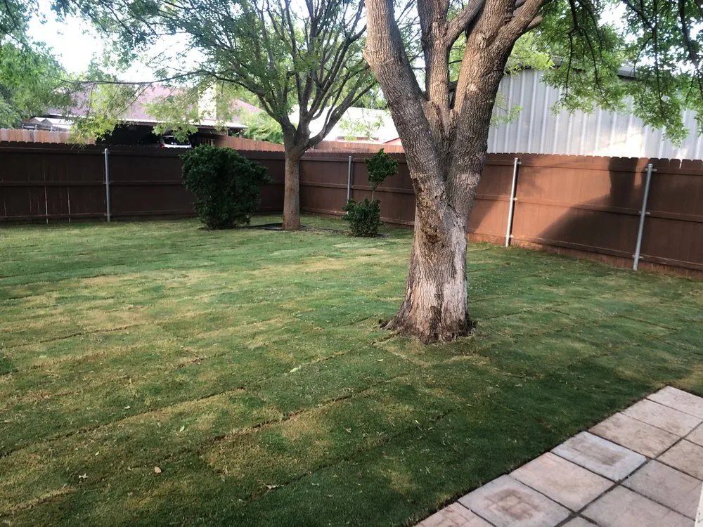 Local landscape installation for year-round maintenance in Fort Worth, TX by Tough Texan Lawns