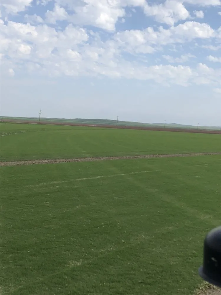 Top-rated landscaping services in Fort Worth, TX by Tough Texan Lawns