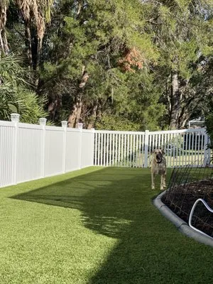 Tough Turf Fields & Lawns