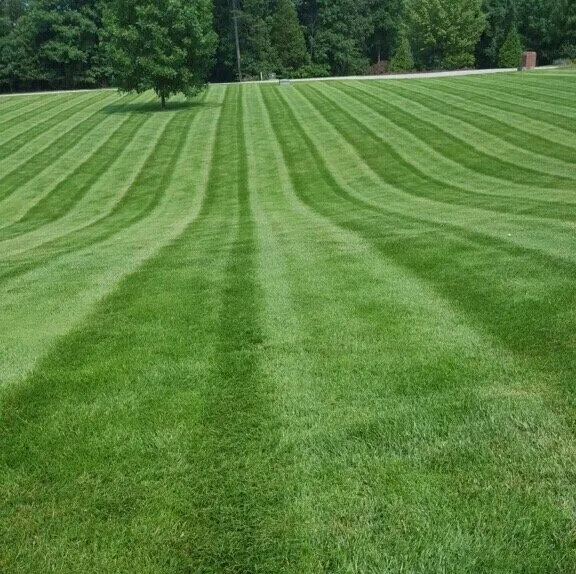 Reliable landscape installation for year-round maintenance in Massillon, OH by Tough Turf Lawn Care