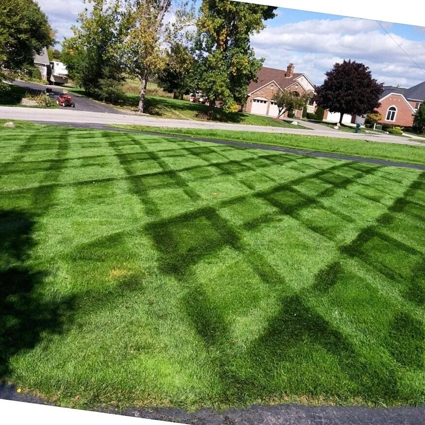 Top-rated yard cleanup service for beautiful yards in Massillon, OH by Tough Turf Lawn Care