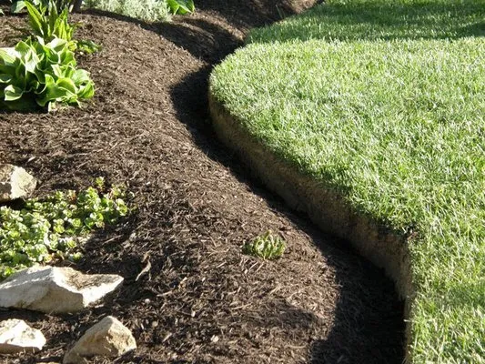 Tough Turf Lawn Care