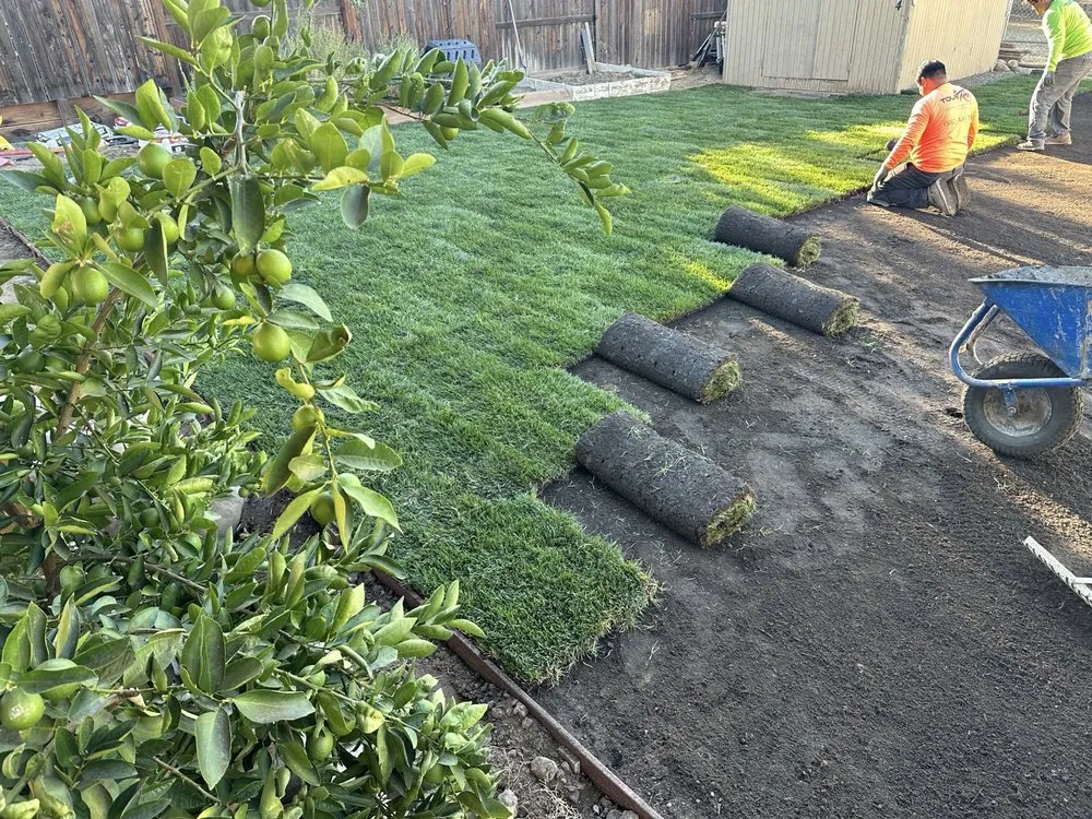 Reliable lawn care service in Placerville, CA - Tour De Force Concrete