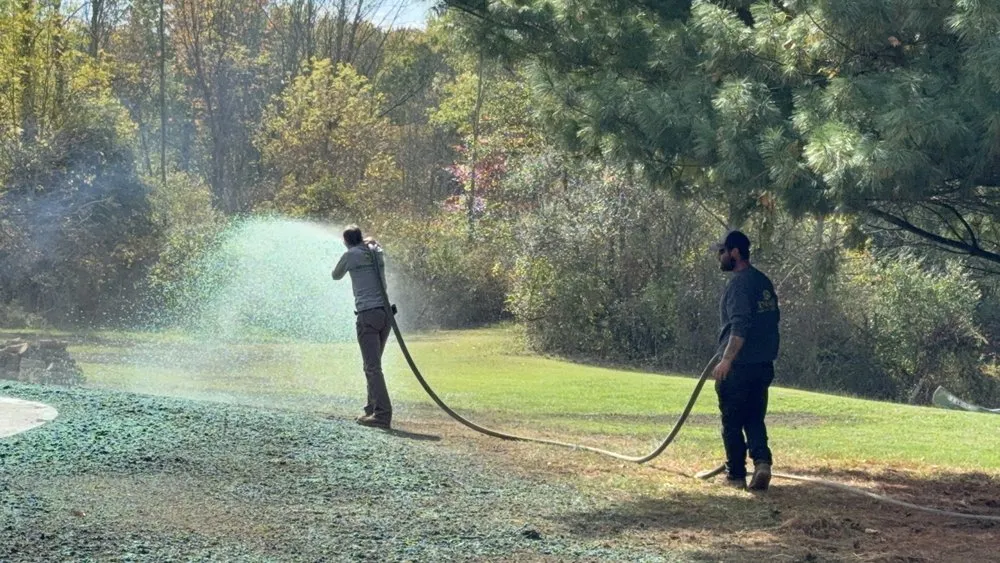 Trusted yard cleanup service with custom design in Canton, OH by Tournoux Landcare Service