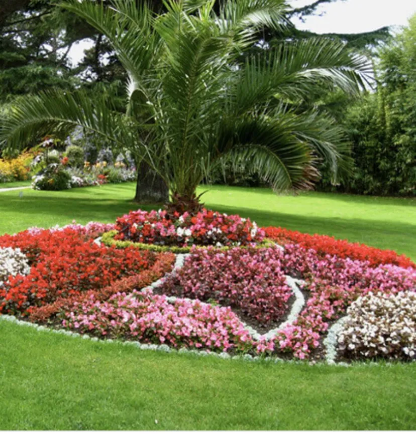 Top-rated residential landscaping for residential properties across Pompano Beach, FL - Toussaint Lawn Service