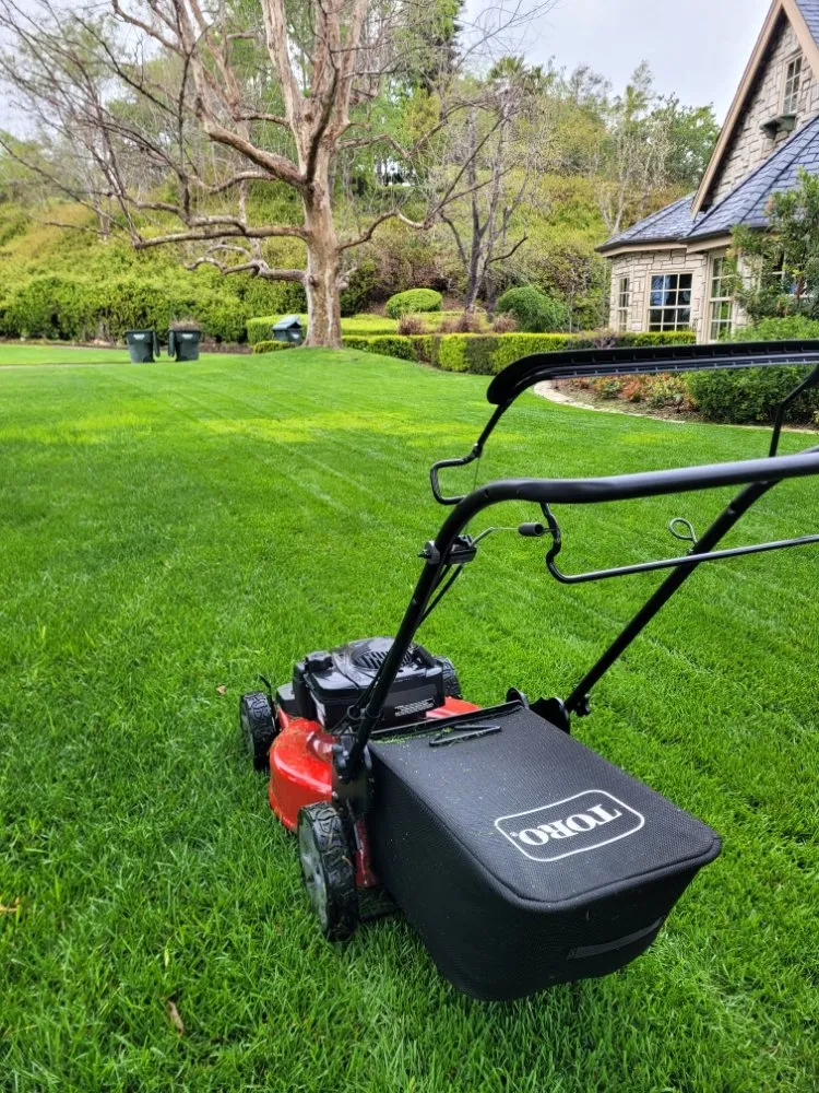 Trusted lawn mowing service for residential properties across Vista, CA - Tovar Gardening Services