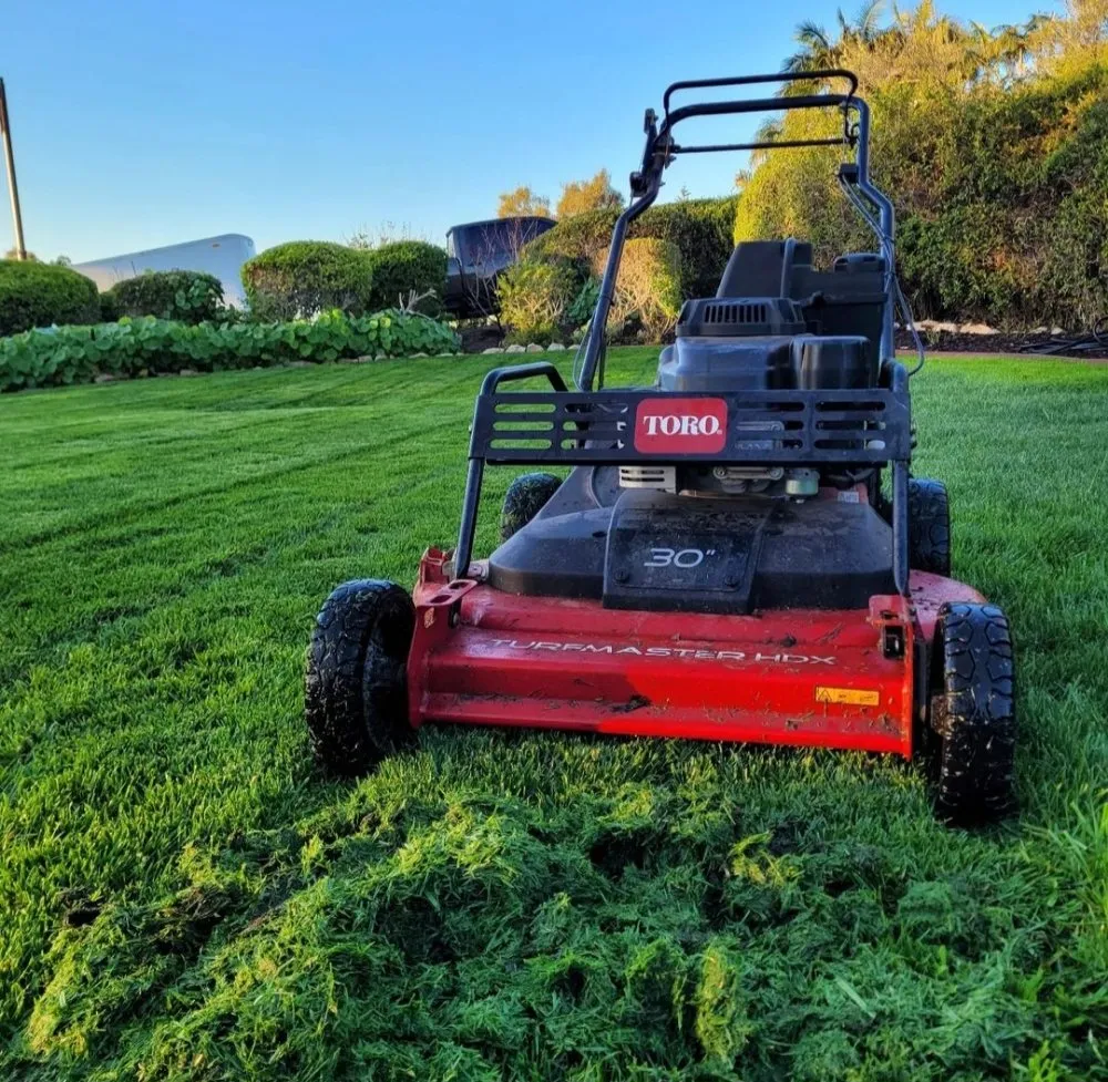 Affordable landscaping services experts serving Vista, CA - Tovar Gardening Services