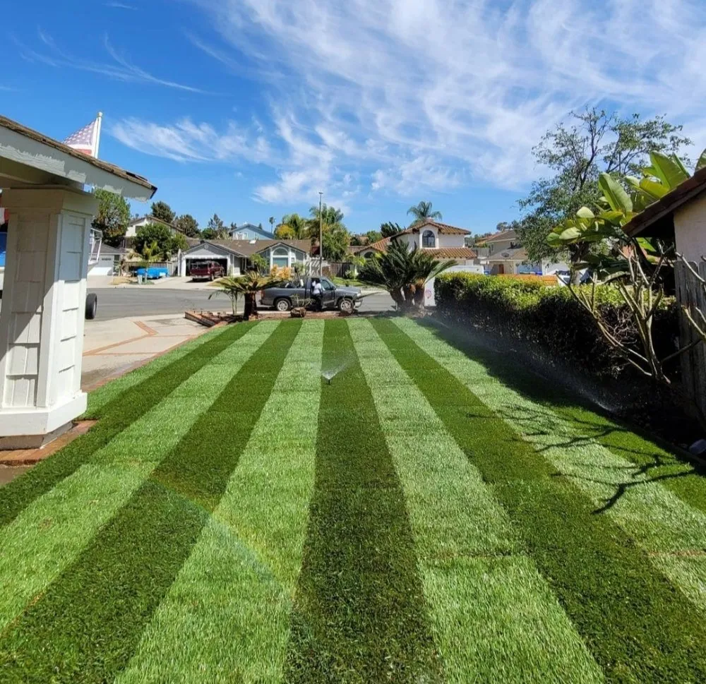Local lawn care service for year-round maintenance across Vista, CA - Tovar Gardening Services