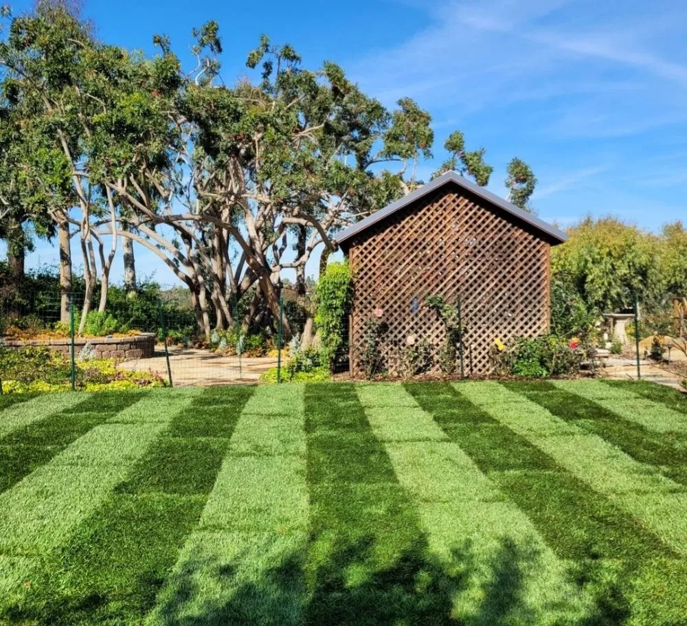 Affordable yard cleanup service with custom design in Vista, CA by Tovar Gardening Services