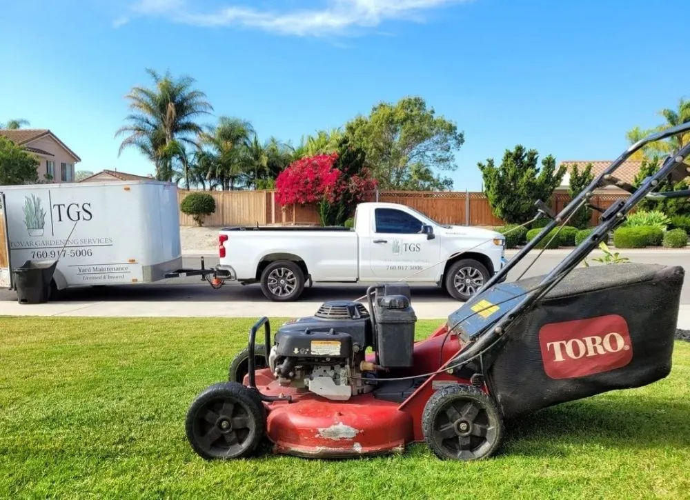 Expert landscape design in Vista, CA - Tovar Gardening Services