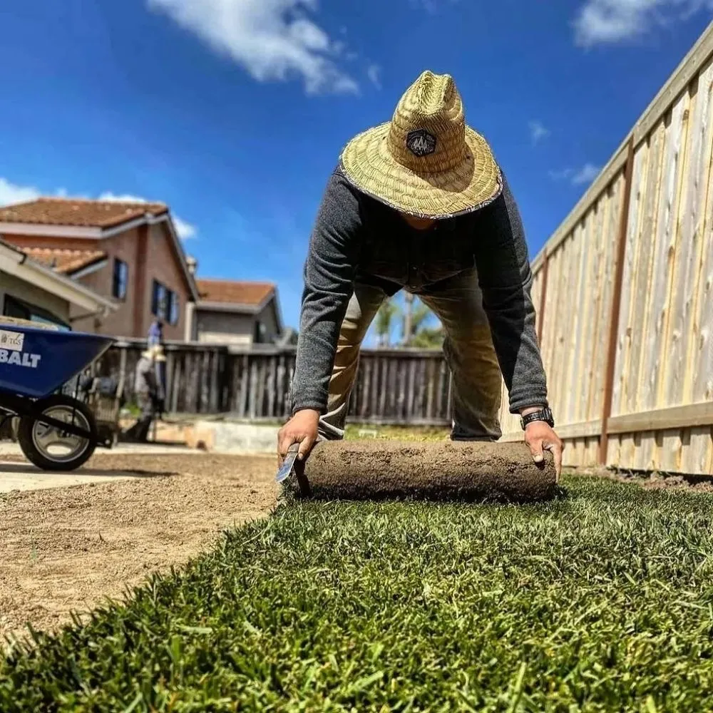 Local yard cleanup service in Vista, CA - Tovar Gardening Services