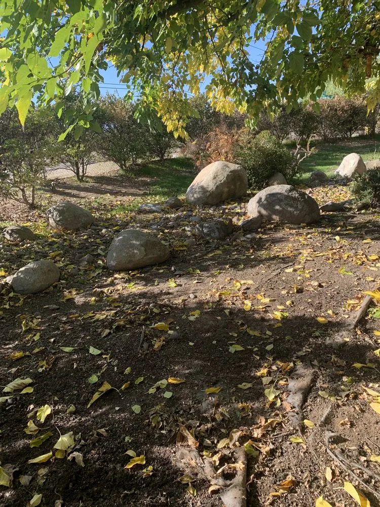 Reliable landscape design in Vista, CA - Tovar Gardening Services