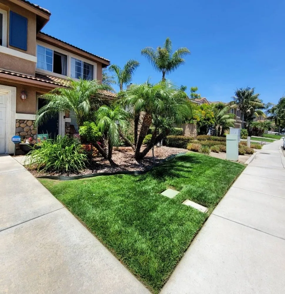 Affordable garden landscaping in Vista, CA - Tovar Gardening Services