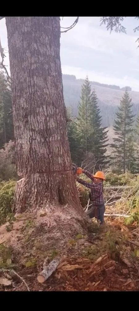 Affordable lawn mowing service for residential properties across Austin, TX - Tovar Landscaping