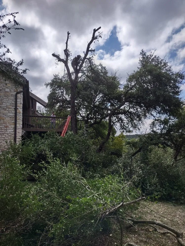 Affordable landscape installation experts serving Austin, TX - Tovar Landscaping