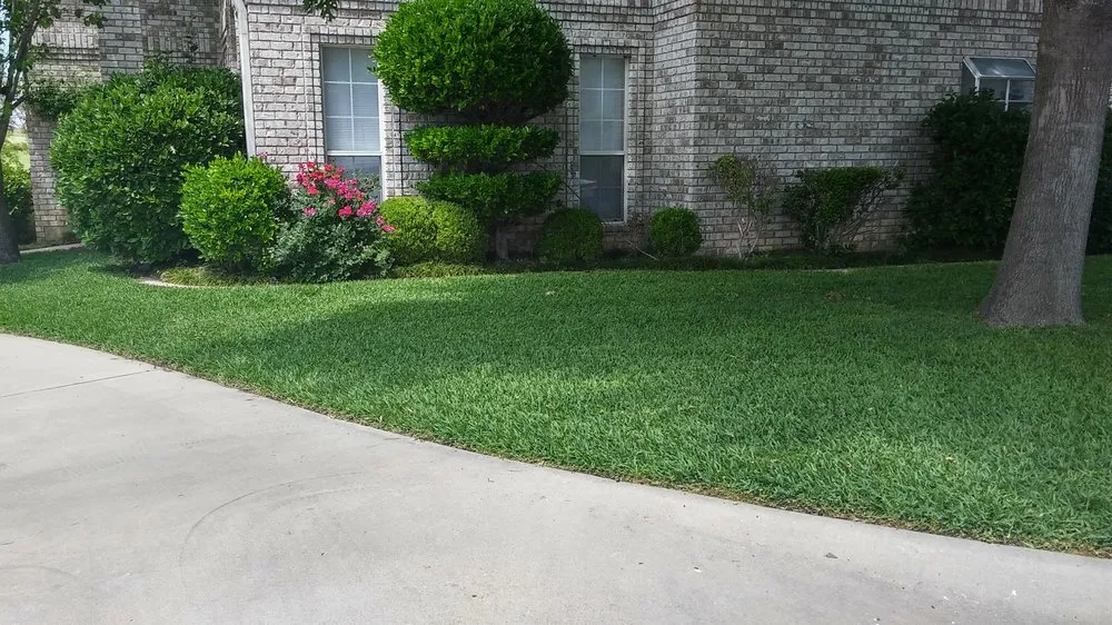 Top-rated lawn mowing service near you in Salado, TX by Tovar Lawncare & Landscaping