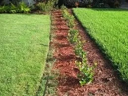 Top-rated landscape design in Round Lake Beach, IL by Tovar's Landscaping