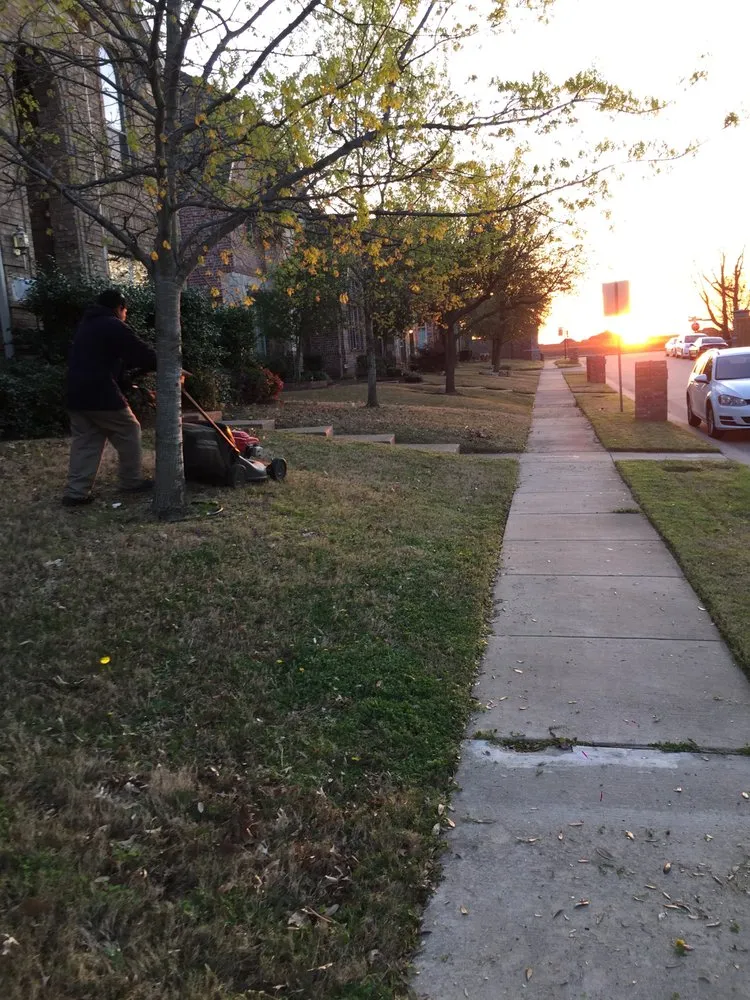 Top-rated yard cleanup service in McKinney, TX - Tovar's Lawn Care Service