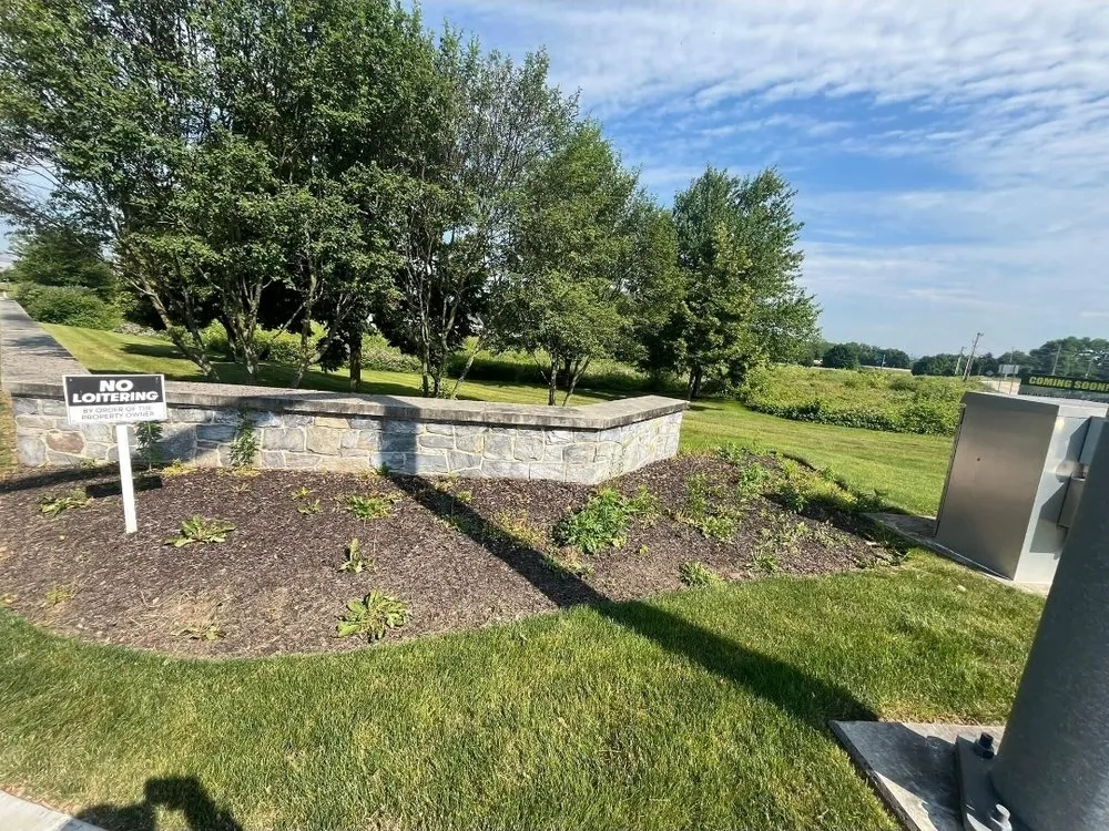 Trusted yard cleanup service for beautiful yards in McSherrystown, PA by Tovarsman