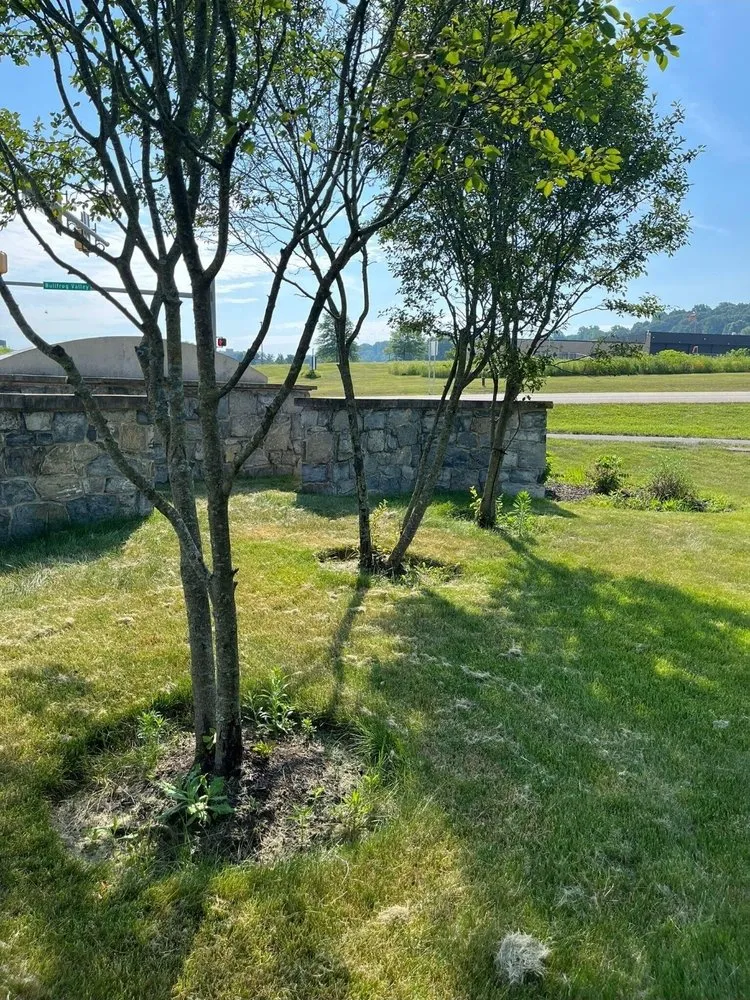 Trusted yard maintenance near you in McSherrystown, PA by Tovarsman