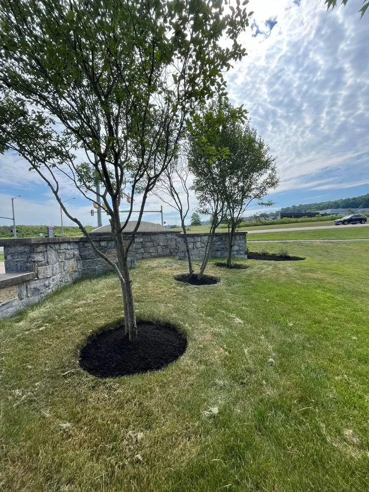 Affordable yard maintenance in McSherrystown, PA - Tovarsman