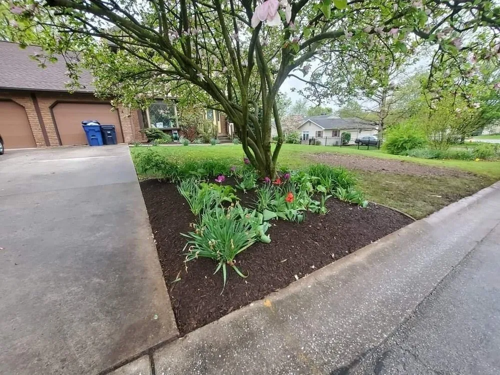 Local yard cleanup service in McSherrystown, PA by Tovarsman