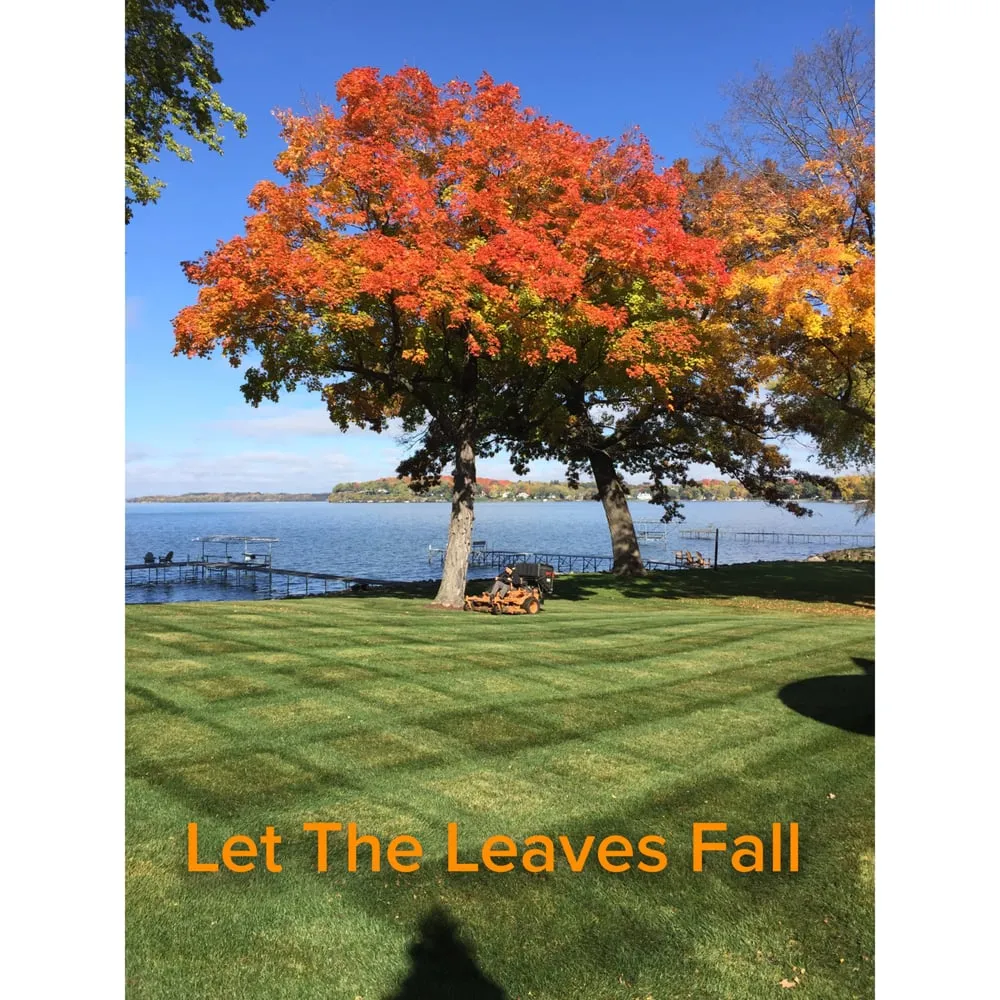 Reliable outdoor landscaping in Waunakee, WI by Towell Property Services