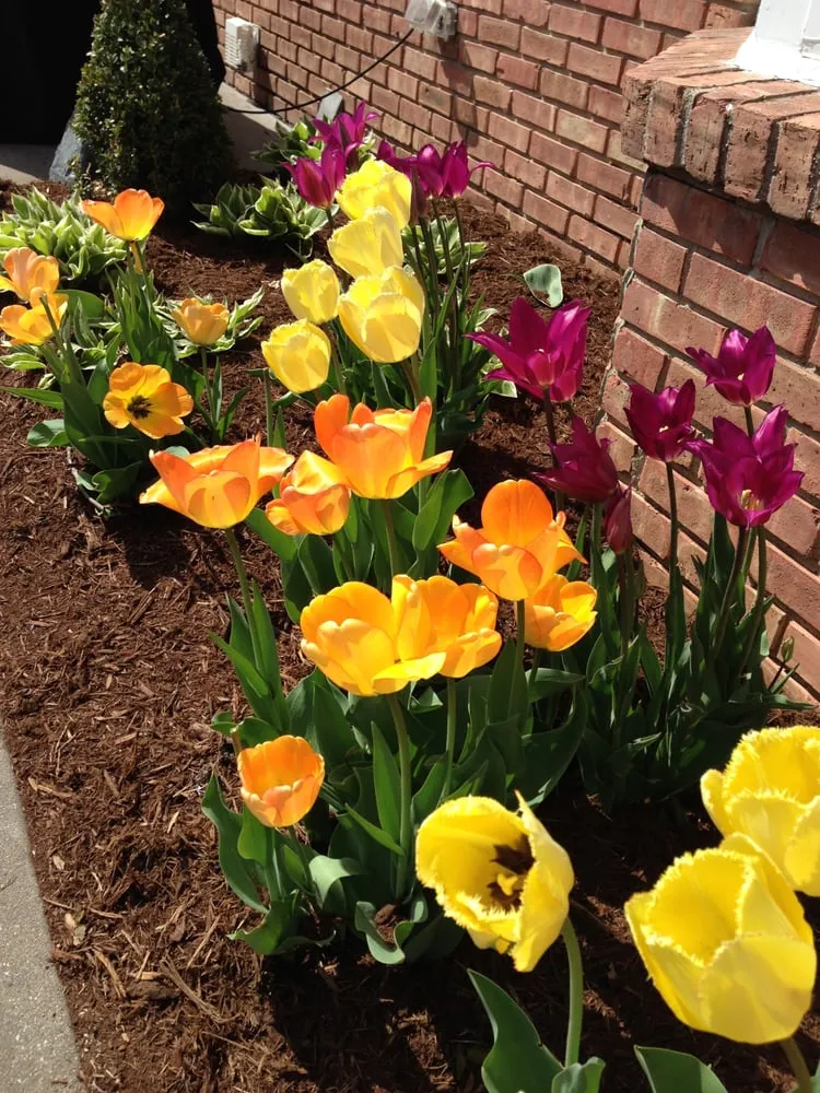 Top-rated yard cleanup service near you in Waunakee, WI by Towell Property Services