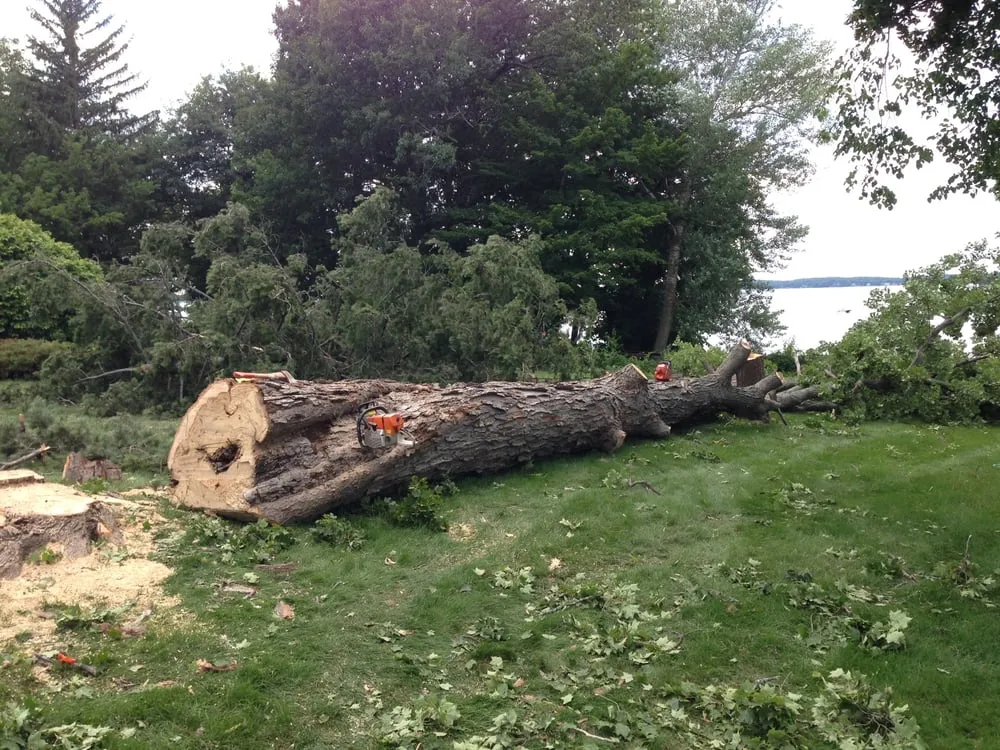 Trusted lawn care service in Waunakee, WI by Towell Property Services